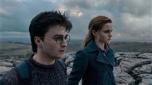 Harry Potter et les reliques de la mort : 1 ère partie Photo 17
