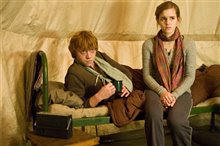 Harry Potter et les reliques de la mort : 1 ère partie Photo 19