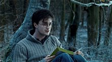 Harry Potter et les reliques de la mort : 1 ère partie Photo 37