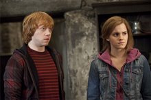 Harry Potter et les reliques de la mort : 2e partie Photo 56