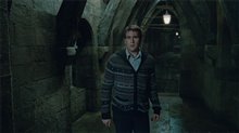 Harry Potter et les reliques de la mort : 2e partie Photo 70