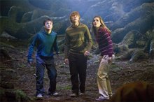 Harry Potter et l'ordre du Phénix Photo 10 - Grande
