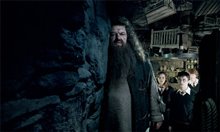 Harry Potter et l'ordre du Phénix Photo 31 - Grande