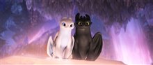 How to Train Your Dragon: The Hidden World Photo 25