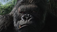 King Kong (v.f.) Photo 20