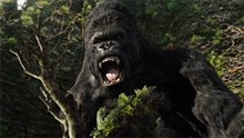 King Kong (v.f.) Photo 21