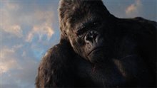 King Kong (v.f.) Photo 29 - Grande