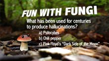 Know Your Mushrooms Photo 2