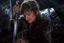 Le Hobbit : La désolation de Smaug - L'expérience IMAX 3D Photo 7