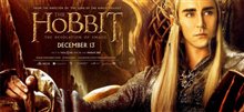 Le Hobbit : La désolation de Smaug - L'expérience IMAX 3D Photo 9