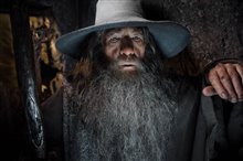 Le Hobbit : La désolation de Smaug - L'expérience IMAX 3D Photo 19