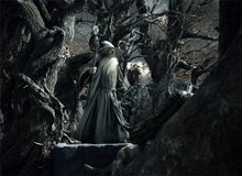 Le Hobbit : La désolation de Smaug - L'expérience IMAX 3D Photo 37