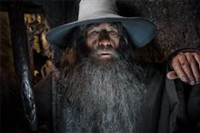 Le Hobbit : La désolation de Smaug - L'expérience IMAX 3D Photo 45