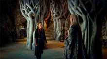 Le Hobbit : La désolation de Smaug - L'expérience IMAX 3D Photo 51