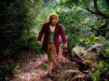Le Hobbit : Un voyage inattendu Photo 9 - Grande