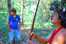 Les Aventuriers Voyageurs : Brésil - Pépites vertes Photo 3