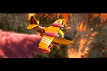Les avions : Les pompiers du ciel Photo 13
