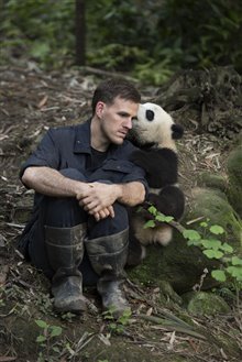 Pandas Photo 26