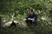 Pandas : L'expérience IMAX Photo 7