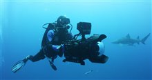 Sharkwater Extinction - Le film Photo 1