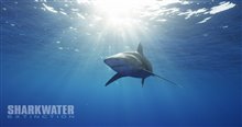 Sharkwater Extinction - Le film Photo 24