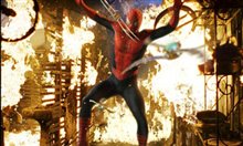 Spider-Man Photo 5 - Large