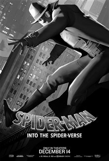 Spider-Man : Dans le Spider-Verse Photo 23