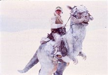 Star Wars: Episode V - The Empire Strikes Back Photo 4