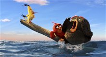The Angry Birds Movie Photo 29