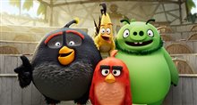 The Angry Birds Movie 2 Photo 17