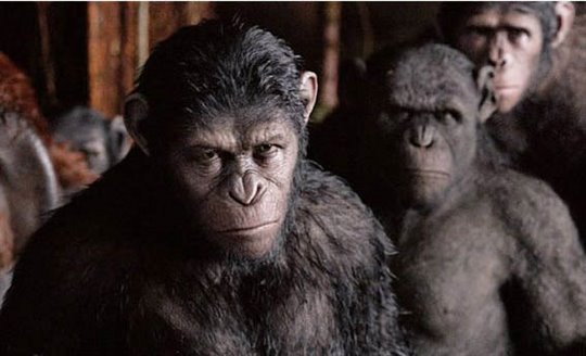 Dawn of the Planet of the Apes Photo 9 - Large