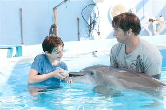 Dolphin Tale Photo 3 - Large