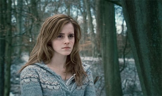Harry Potter and the Deathly Hallows: Part 1 Photo 40 - Large