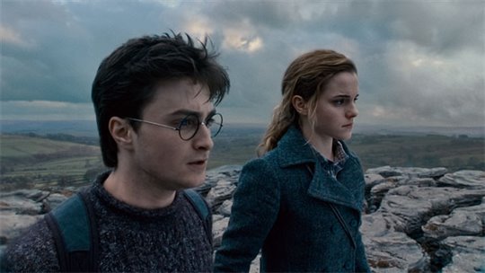 Harry Potter et les reliques de la mort : 1 ère partie Photo 17 - Grande