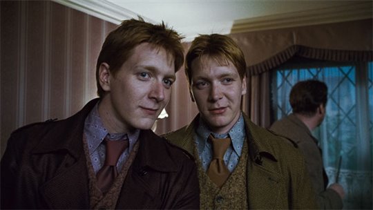 Harry Potter et les reliques de la mort : 1 ère partie Photo 27 - Grande