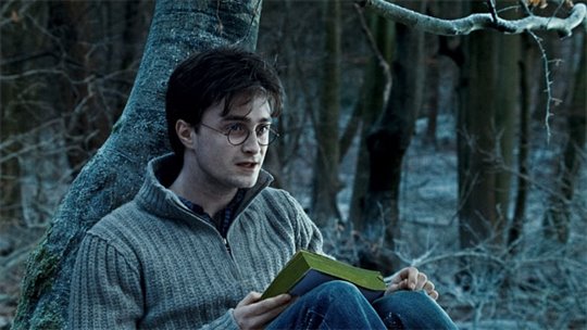 Harry Potter et les reliques de la mort : 1 ère partie Photo 37 - Grande