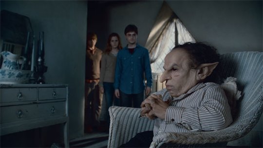 Harry Potter et les reliques de la mort : 2e partie Photo 26 - Grande