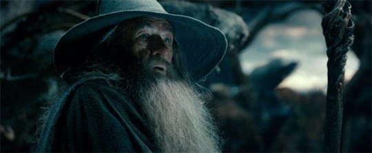 Le Hobbit : La désolation de Smaug Photo 26 - Grande