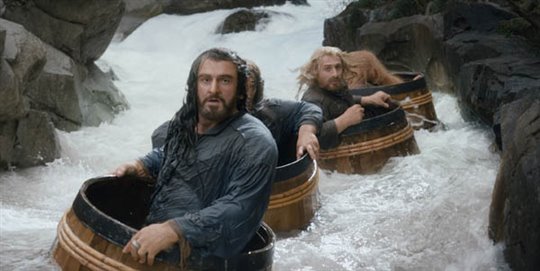 Le Hobbit : La désolation de Smaug - L'expérience IMAX 3D Photo 17 - Grande