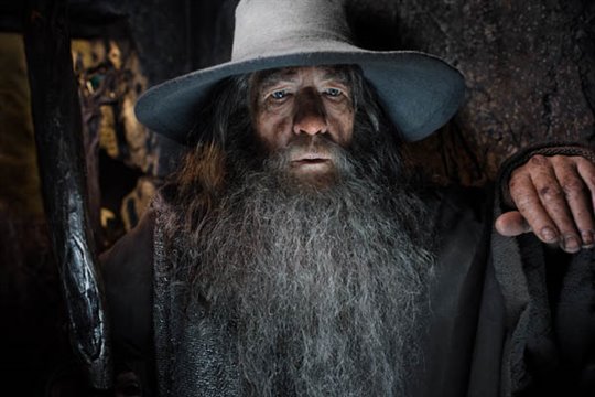 Le Hobbit : La désolation de Smaug - L'expérience IMAX 3D Photo 19 - Grande