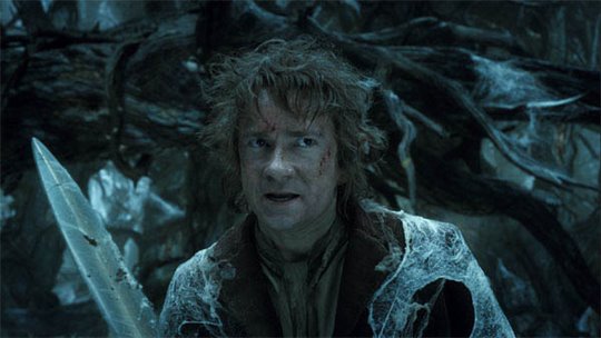 Le Hobbit : La désolation de Smaug - L'expérience IMAX 3D Photo 39 - Grande