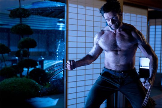 Le Wolverine Photo 6 - Grande