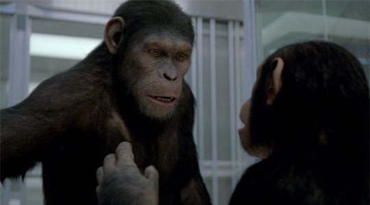 Rise of the Planet of the Apes Photo 6 - Large