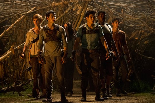 The Maze Runner Photo 6 - Large