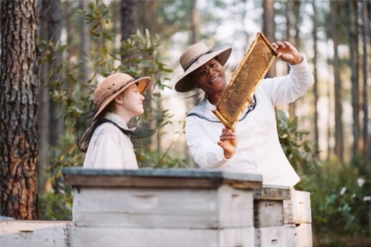 The Secret Life of Bees (v.o.a.) Photo 5 - Grande
