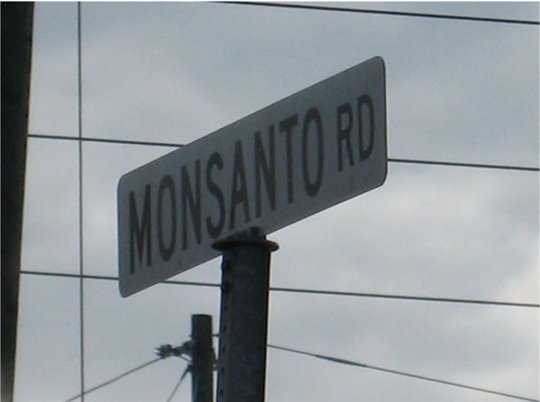 The World According to Monsanto Photo 1 - Large