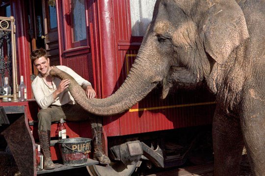Water for Elephants Photo 2 - Large