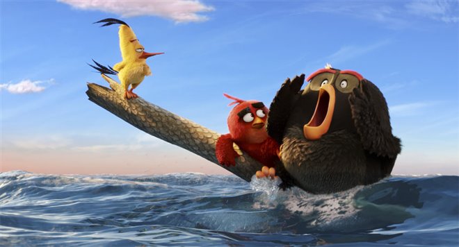 Angry Birds : Le film Photo 29 - Grande