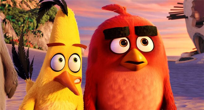 Angry Birds : Le film Photo 4 - Grande