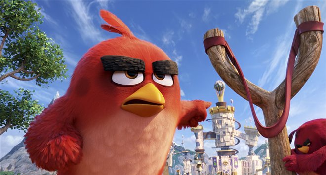 Angry Birds : Le film Photo 13 - Grande